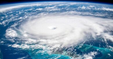 멕시코 기상청, 올해 허리케인 35~41개 발생할 것으로 전망…태풍 시작 예상날짜 공개